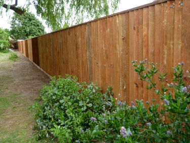 fencing3